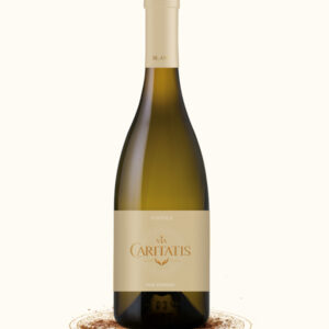 2020 Via Caritatis Vox White