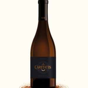 2021 Via Caritatis Lux Rosé